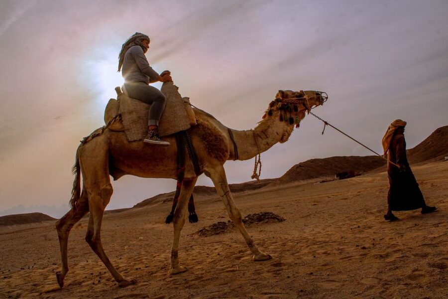 From El Gouna: Dry Canyon Quad Bike Morning Tour - Wadi Billy and the fossils of an ancient sea