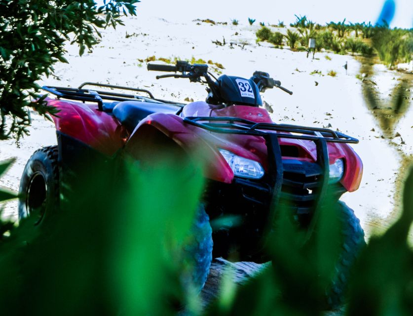 From El Gouna: Dry Canyon Quad Bike Morning Tour - Who will enjoy this morning most