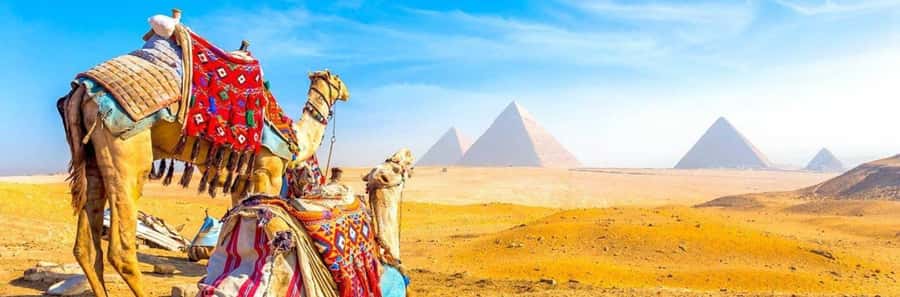 From Giza: Day tour to Giza Pyramids Tour with Pickup - Key points to know before booking