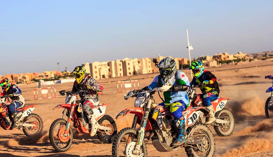 From Hurghada: El Gouna Quad and MX Bike Safari Tour - Who will enjoy this most?