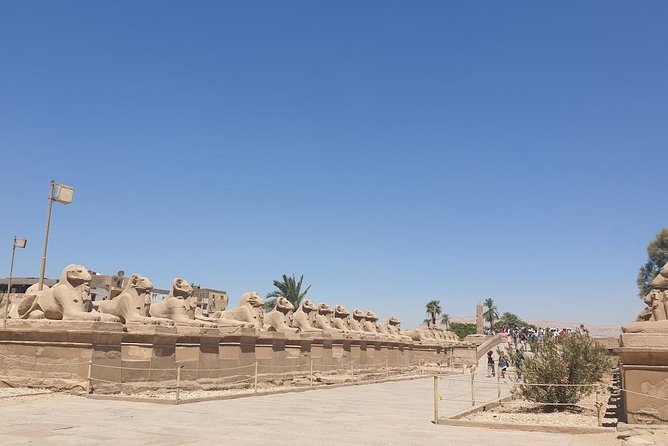 From Hurghada Individual excursion to Luxor & the Valley of the Kings - The Colossi of Memnon: brief, but worth the pause