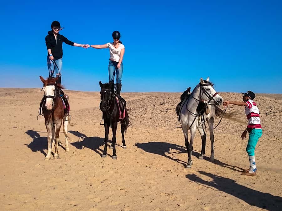 From Hurghada: Makadi Bay Horse Riding Tour - What the guides and horses add