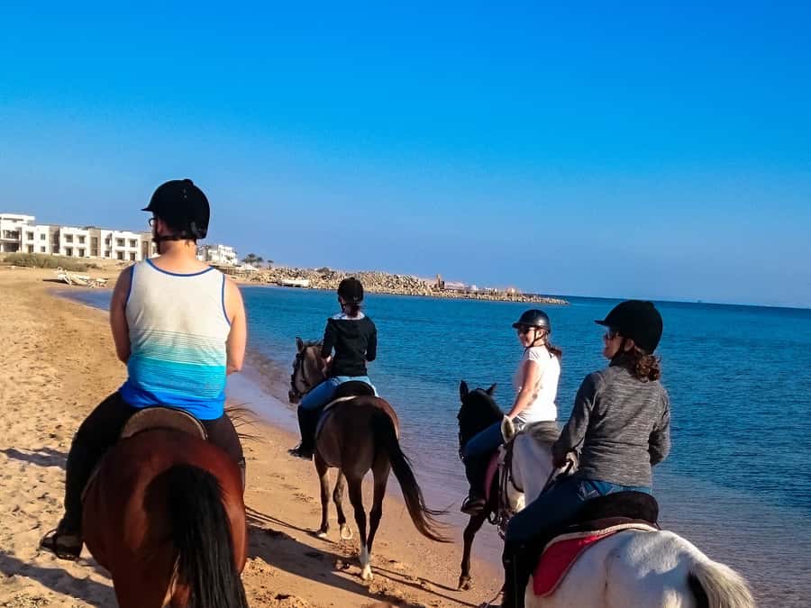 From Hurghada: Makadi Bay Horse Riding Tour - Choose sunrise for cool air and breakfast