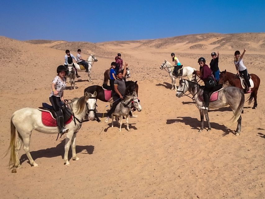 From Hurghada: Makadi Bay Horse Riding Tour - Sunset, dinner, live entertainment, and stars