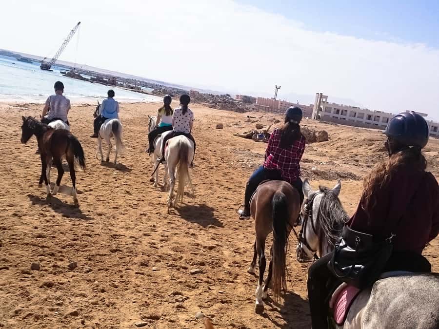 From Hurghada: Makadi Bay Horse Riding Tour - The quad bike and horse-riding combo