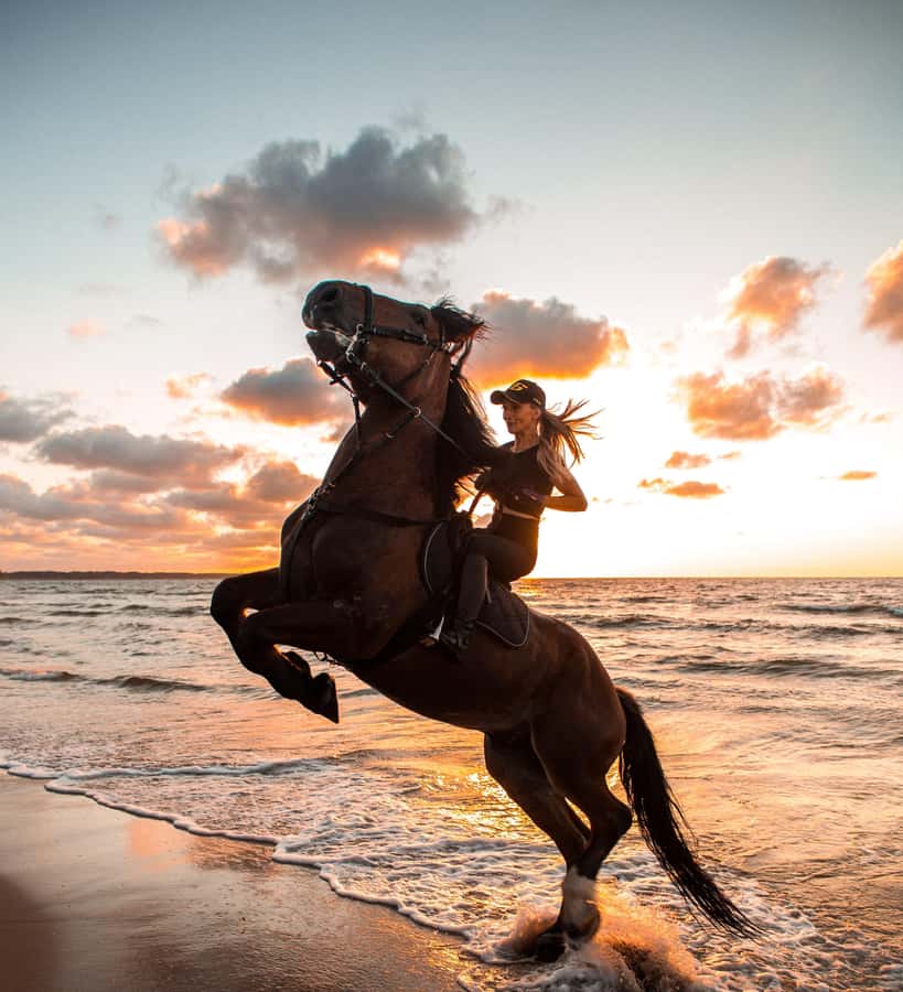 From Hurghada: Makadi Bay Horse Riding Tour - The VIP four-hour ride with a swim stop