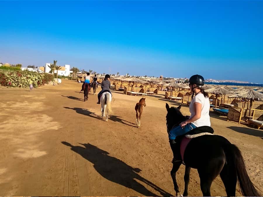 From Hurghada: Makadi Bay Horse Riding Tour - How much value do you get for $20?