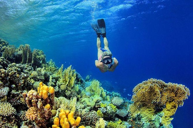 From Hurghada: Paradise Island Full-Day Snorkeling Tour - Lunch, shade, and the rhythm of the boat