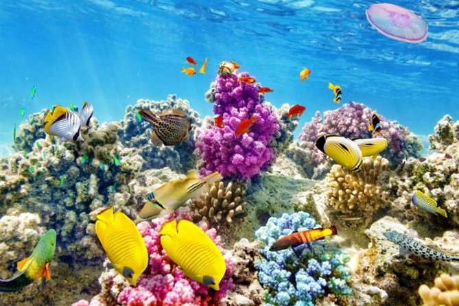 From Hurghada: Paradise Island Full-Day Snorkeling Tour - Two hours on Paradise Island