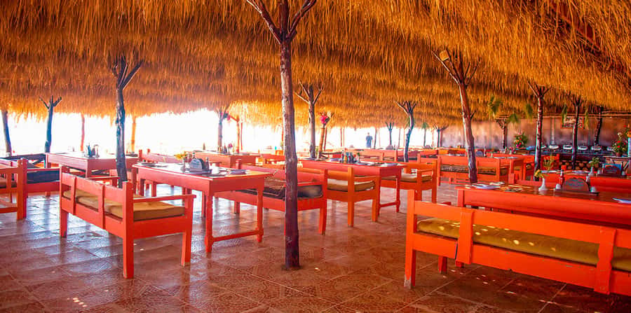 From Hurghada: Paradise Island Snorkeling Cruise with Lunch - Snorkeling above the Red Sea coral