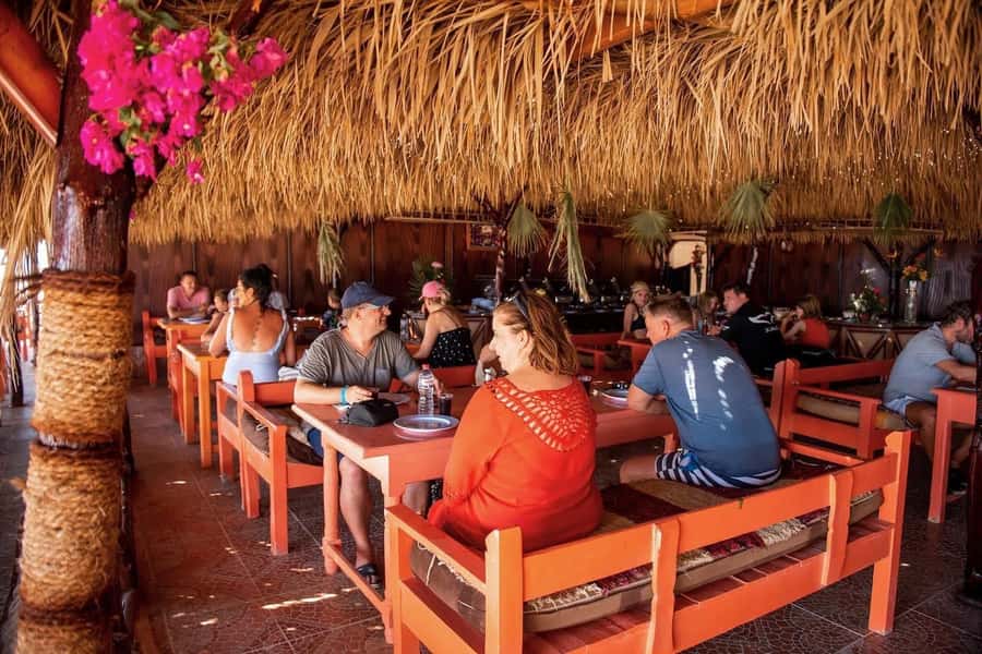 From Hurghada: Paradise Island Snorkeling Cruise with Lunch - Who should book this excursion?