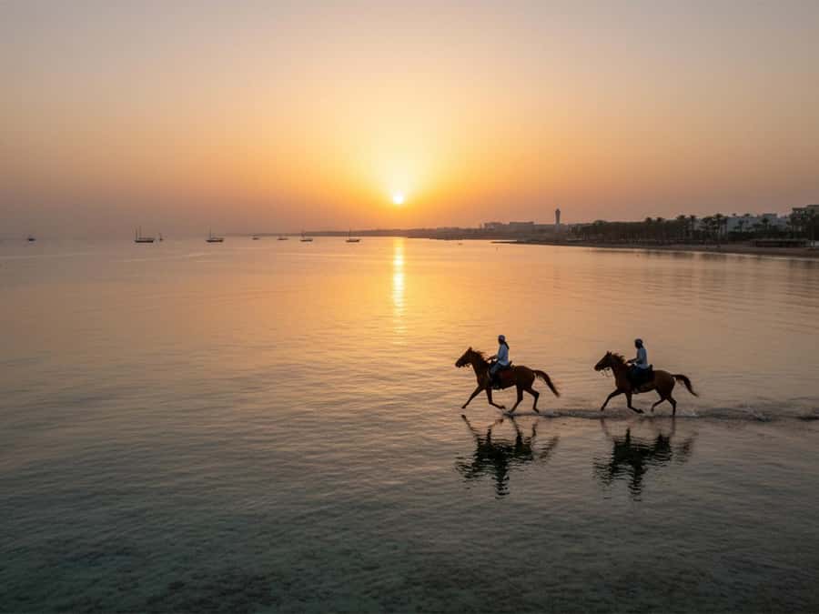From Hurghada: Red Sea Sunrise and Desert Horseback Riding - Key points to know before booking