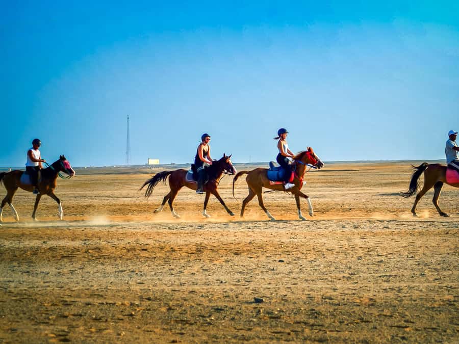 From Hurghada: Red Sea Sunrise and Desert Horseback Riding - Two hours through desert and along the Red Sea
