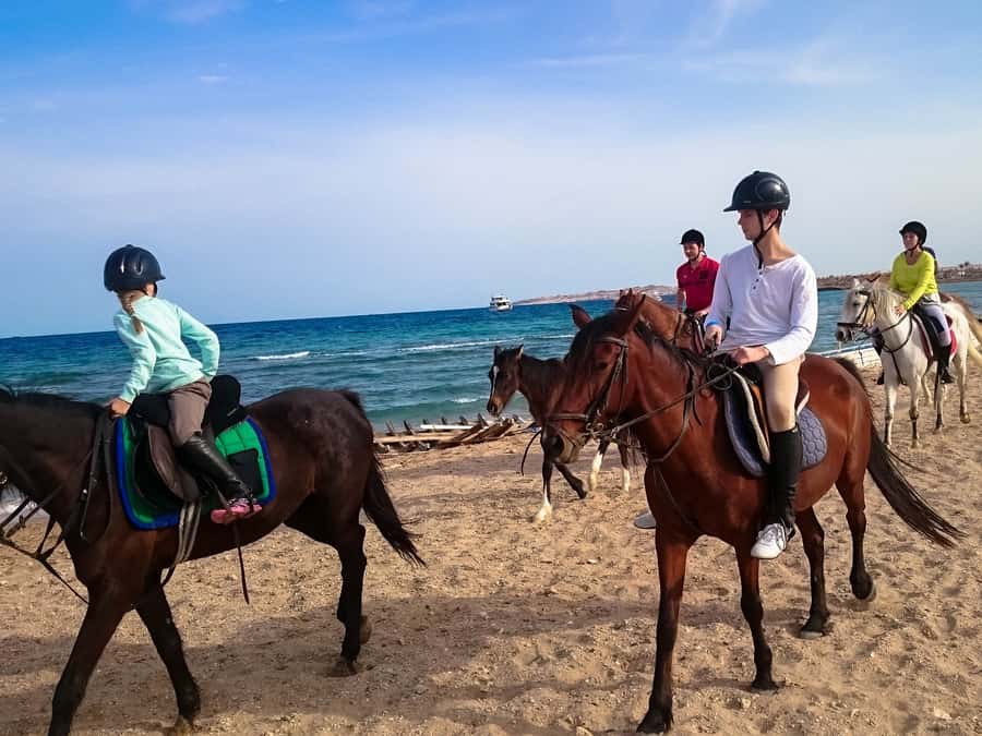 From Hurghada: Red Sea Sunrise and Desert Horseback Riding - Sunrise, breakfast, afternoon, or sunset