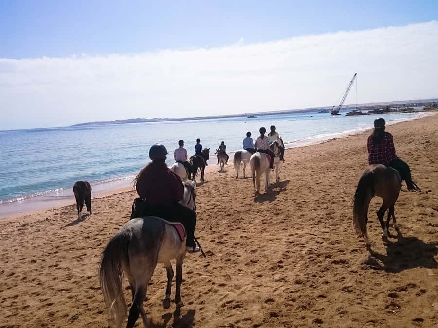 From Hurghada: Red Sea Sunrise and Desert Horseback Riding - How beginner-friendly is it?