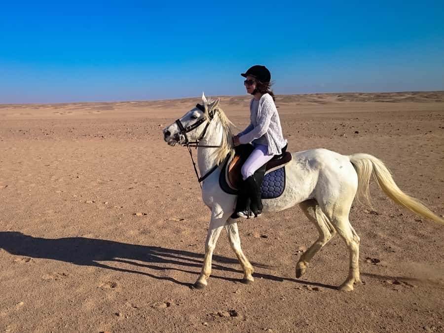 From Hurghada: Red Sea Sunrise and Desert Horseback Riding - Price and what you really receive for $29