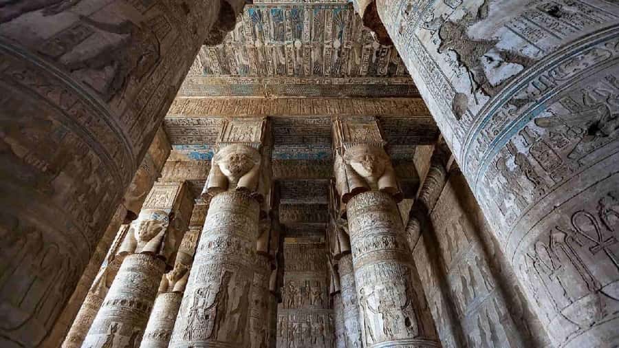From Luxor: Abydos & Dendera Temples on a Private Day Tour. - Who should take this day trip?