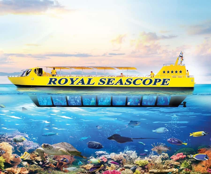 From Safaga: Royal Seascope Submarine with Snorkeling - What the Royal Seascope experience is really like