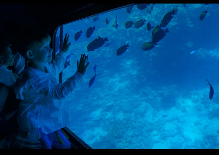 From Safaga: Royal Seascope Submarine with Snorkeling - Four meters underwater in the glass cabin