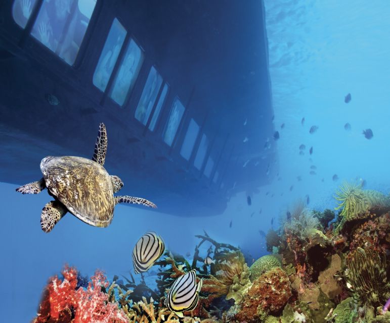 From Safaga: Royal Seascope Submarine with Snorkeling - Who should book this outing?