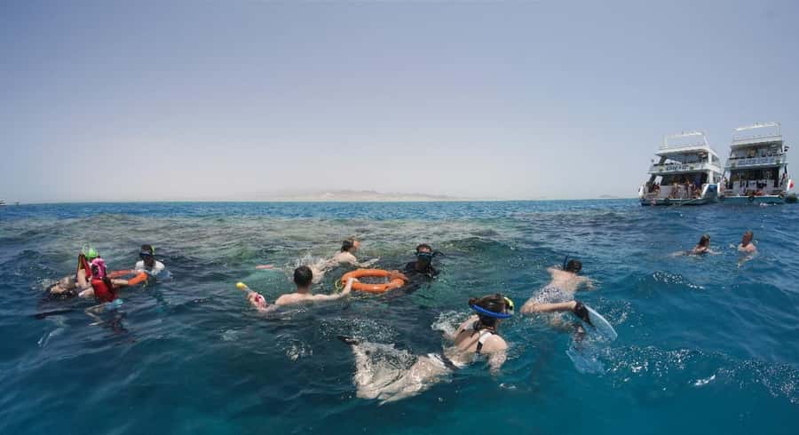 From Sharm: Half day Snorkeling Trip with Lunch - The optional introductory scuba session