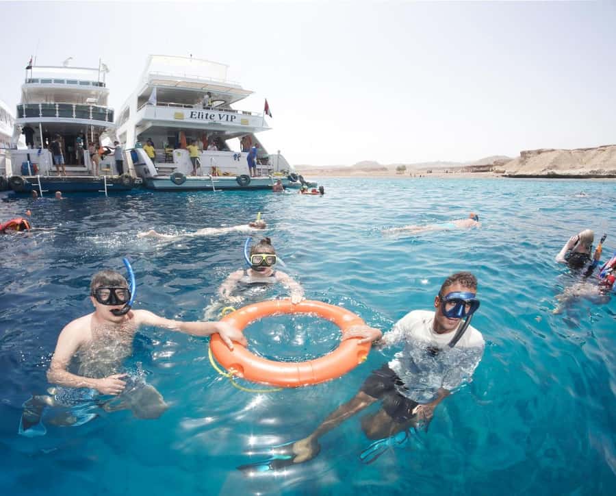 From Sharm: Half day Snorkeling Trip with Lunch - Lunch with Egyptian kofta after the water