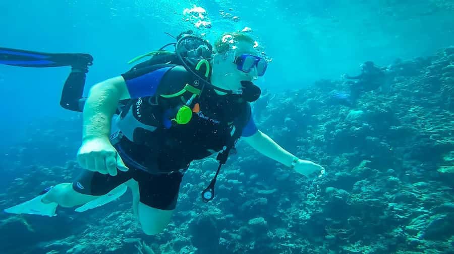 From Sharm: Luxury Diving cruise to Ras Mohammed with Lunch - The second site and the value of choosing two sessions