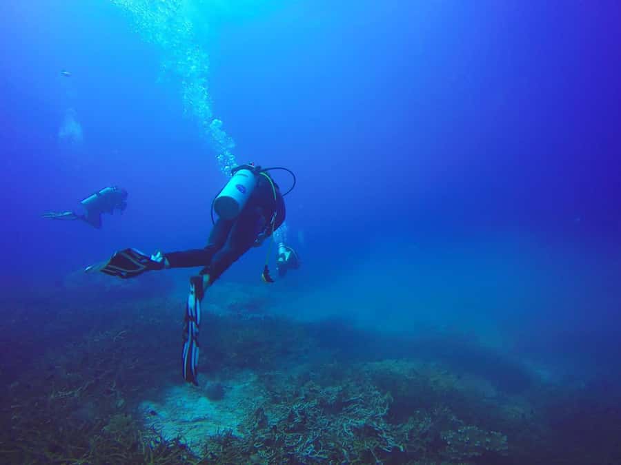 From Sharm: Luxury Diving cruise to Ras Mohammed with Lunch - What to pack for a better day