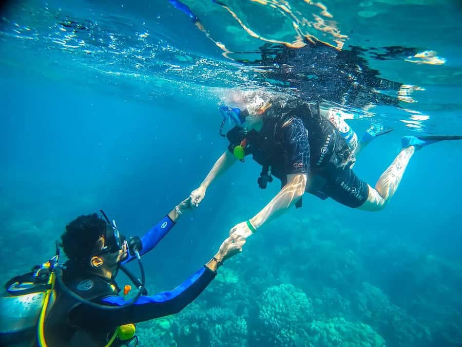 From Sharm: Luxury Diving cruise to Ras Mohammed with Lunch - The first underwater session, from 15 to 40 minutes