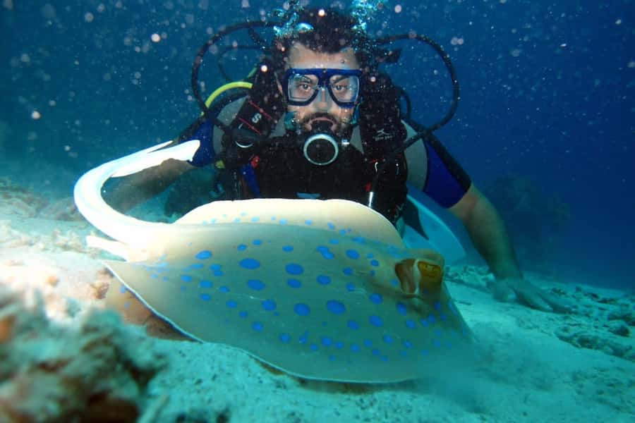 From Sharm: Ras Mohammed snorkeling cruise & optional diving - White Island and the second water stop