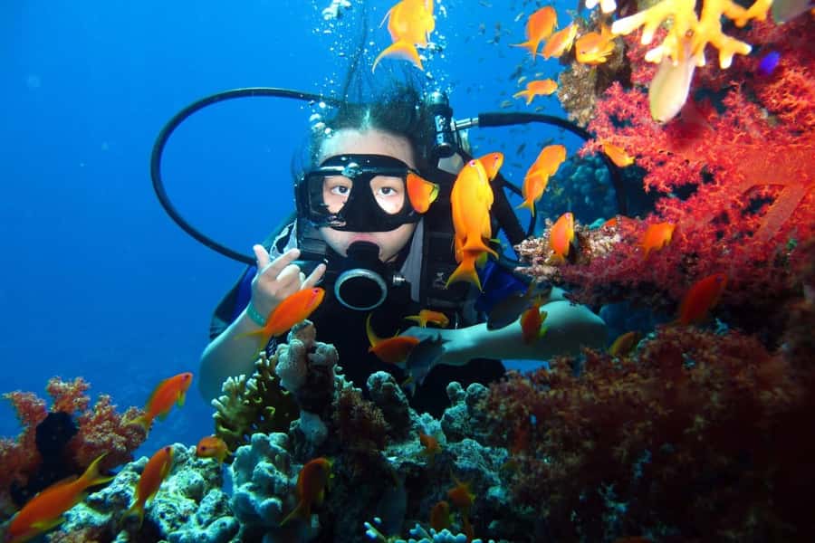 From Sharm: Ras Mohammed snorkeling cruise & optional diving - Lunch on the yacht
