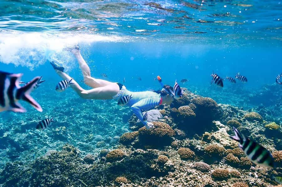 From Sharm: Ras Mohammed snorkeling cruise & optional diving - Optional introductory scuba session