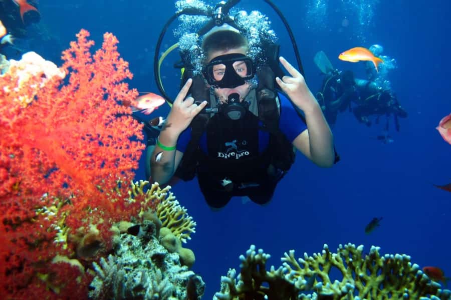 From Sharm: Ras Mohammed snorkeling cruise & optional diving - What the $31 price includes