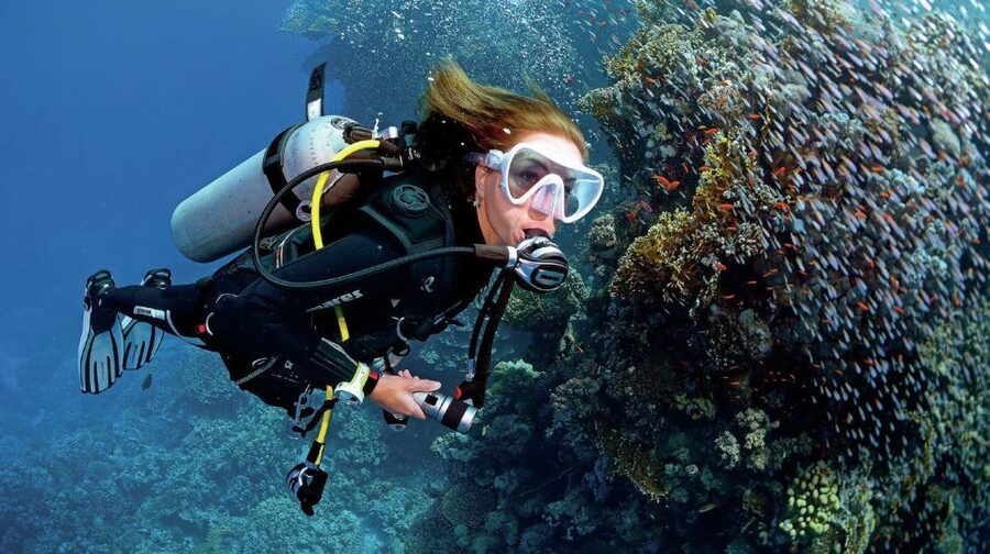 From Sharm: Ras Muhammed & White Island By Boat & intro Dive - The early pickup and port routine