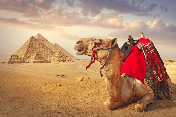 Full Day Cairo Guided Tour Pyramids and Museum, Lunch - Hurghada - The overnight road from Hurghada