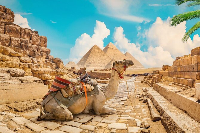 Full Day Cairo Guided Tour Pyramids and Museum, Lunch - Hurghada - A Nile boat ride, available at extra cost