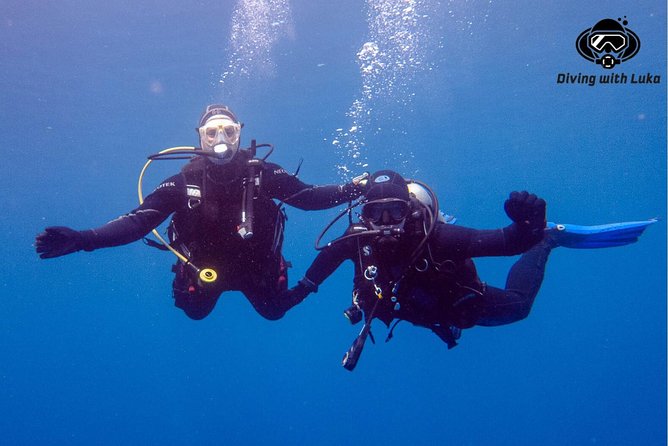 Full day diving with private guide, lunch drinks transportation - Equipment, photos, and the value of the package