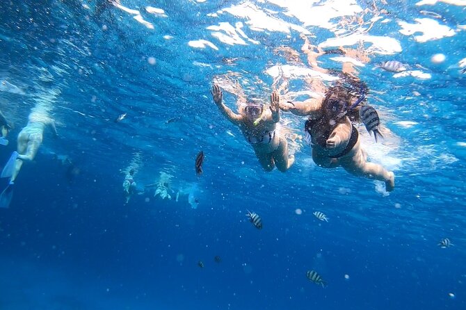 Full-day Dolphin House And Swim With Dolphin - Who will enjoy this Hurghada excursion most?