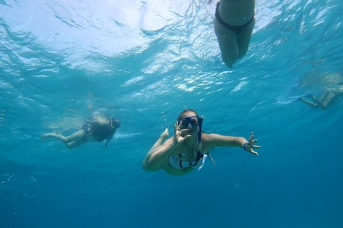 Full-day Dolphin House And Swim With Dolphin - Practical tips before you book