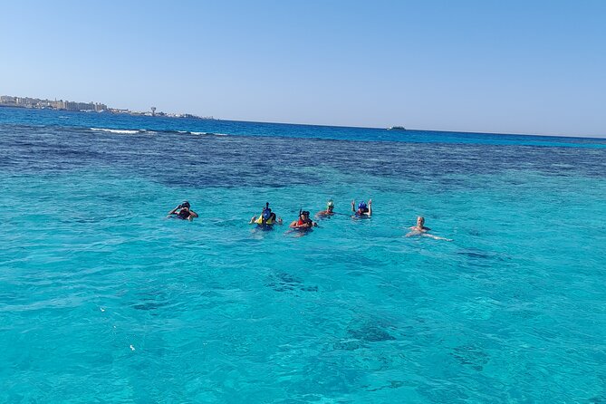 Full-Day Experience with Dolphins and Snorkeling in Red Sea - Two snorkeling stops in clear Red Sea water