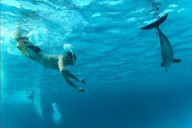 Full-Day Experience with Dolphins and Snorkeling in Red Sea - What the crew and boat may be like