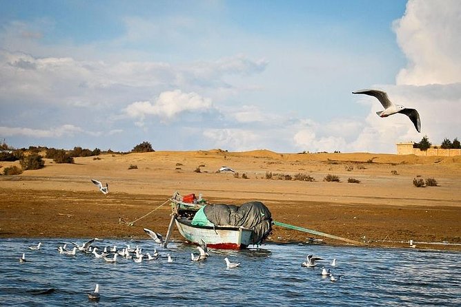 Full-Day Fayoum Oasis and Waterfalls of Wadi El-Rayan Tour from Cairo - Key points to know before you book