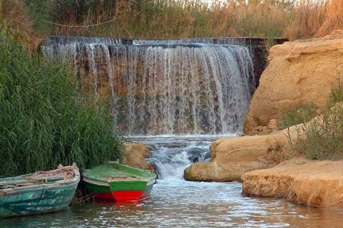 Full-Day Fayoum Oasis and Waterfalls of Wadi El-Rayan Tour from Cairo - A local lunch with Lake Qarun views