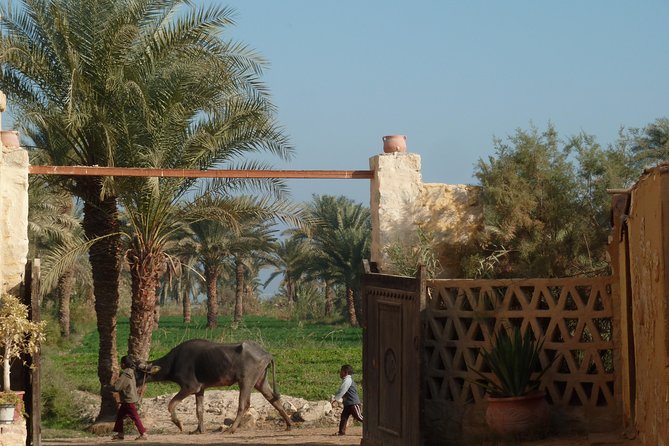 Full-Day Fayoum Oasis and Waterfalls of Wadi El-Rayan Tour from Cairo - The felucca ride, and what to realistically expect
