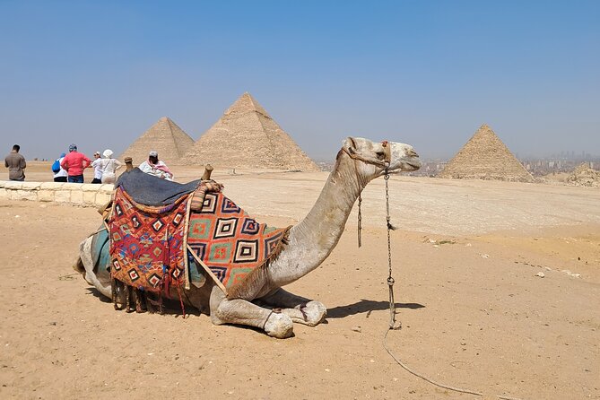Full day Giza pyramids ,camel ride, Mummies museum and bazar - Why this compact Giza tour works