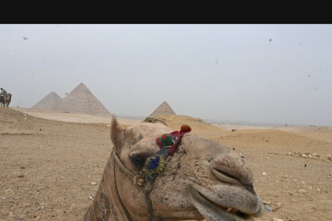 Full day Giza pyramids ,camel ride, Mummies museum and bazar - Hotel pickup and the short Cairo transfer