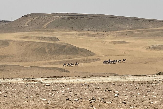 Full-Day Pyramids of Giza Tour from Hurghada - Lunch, drinks, and the optional Nile ride