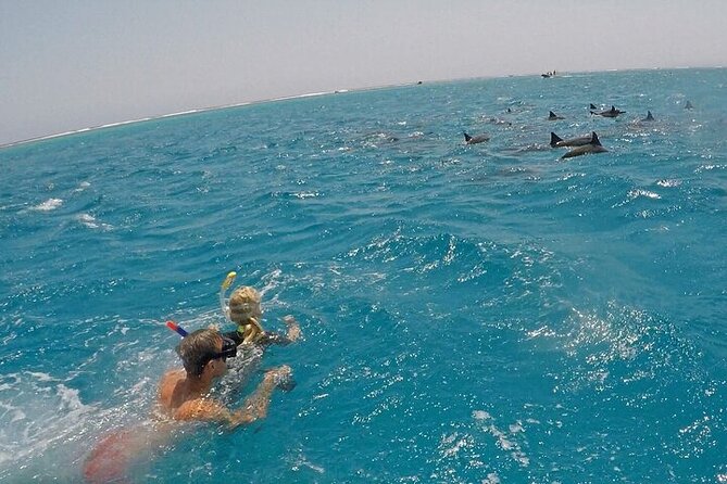 Full Day Snorkeling in Hurghada Dolphin House - Is $45 a fair price?