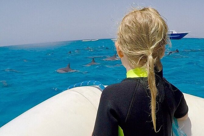 Full Day Snorkeling in Hurghada Dolphin House - The Dolphin House stop: wildlife, not a guarantee