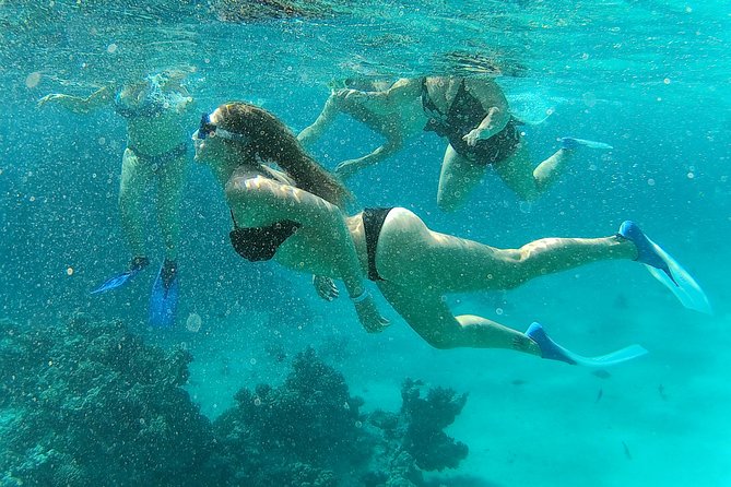 Full-Day Snorkeling with Dolphins in Hurghada with Lunch - Setting out from Hurghada to the Red Sea